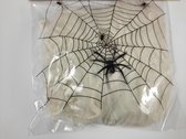 Spinnenweb met Spin Decoratie - Uitrekbaar - 50 g