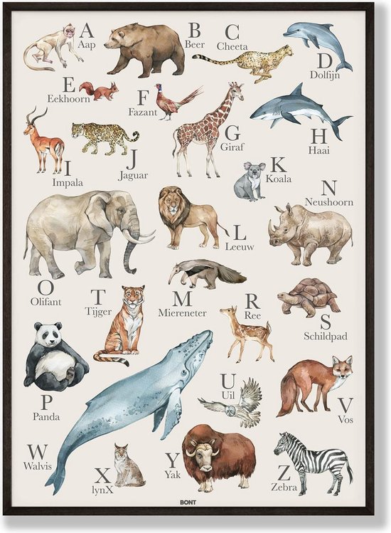 Poster Alphabet FUR animaux - Néerlandais - 50x70