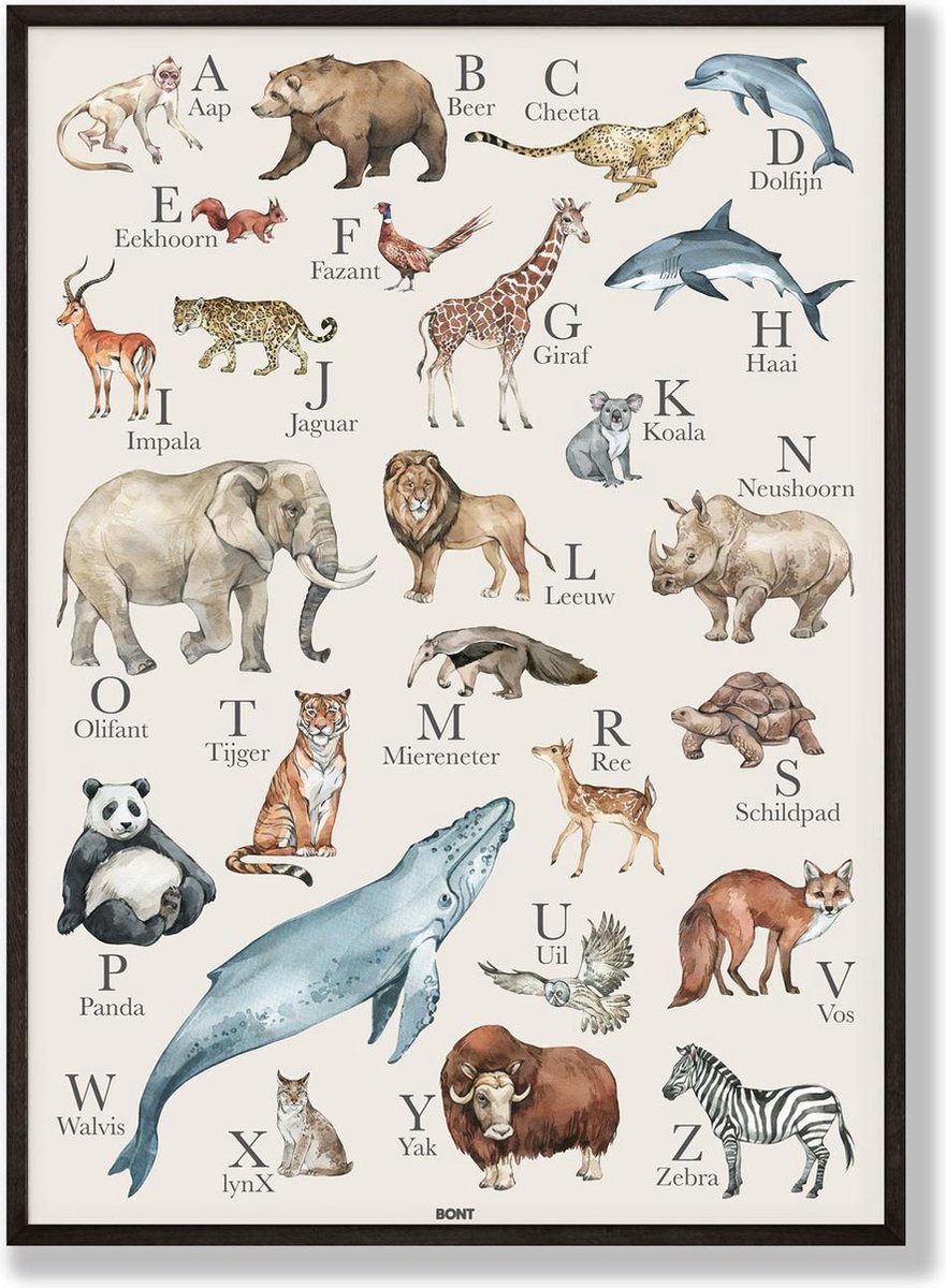 BONT | Kinderkamer - Poster Alfabet - Dieren - Educatief - Alfabetposter - Dierenposter - Dierenalfabet - Schoolplaat - Kinderkamer - Poster kinderkamer - 50x70 cm