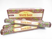 Tulasi - White Sage (Witte Salie) - wierook stokjes - 6 dozen a 20 stuks