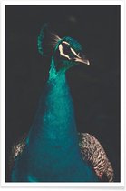 JUNIQE - Poster Peacock And Proud -13x18 /Ivoor & Wit