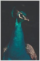 JUNIQE - Poster in kunststof lijst Peacock And Proud -20x30 /Ivoor &