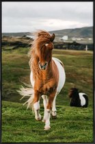 JUNIQE - Poster met kunststof lijst Shetland Ponies -13x18 /Bruin &