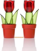 Set Épandeur Sel et Poivre - Tulipes - Spécialités par EIZOOKSHOP