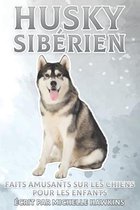 Husky Siberien