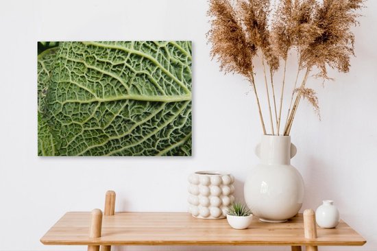Les veines de la feuille dans un chou vert Toile 40x30 cm - petit - Tirage photo sur toile (Décoration murale salon / chambre)
