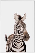 JUNIQE - Poster in kunststof lijst Zebra -30x45 /Wit & Zwart