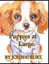 Puppies at Large.