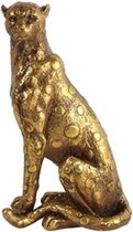Luipaard zittend Felixia goud