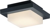 LED Tuinverlichting - Tuinlamp Plafond - Iona Hando - 3W - Mat Zwart - Aluminium