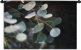 Wandkleed Eucalyptus - Eucalyptus bladeren aan takken Wandkleed katoen 180x120 cm - Wandtapijt met foto XXL / Groot formaat!