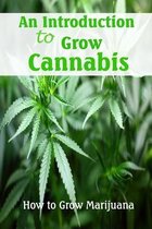 An Introduction to Grow Cannabis: How to Grow Marijuana