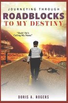 Journeying Through Roadblocks to My Destiny