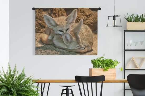 Wandkleed Fennek - Twee Fennek vossen nestelen zich om te gaan slapen Wandkleed katoen 150x112 cm - Wandtapijt met foto