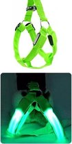 LED - Honden - Tuigje - Groen - XS