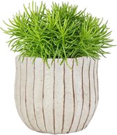 Bloempot Sia Ter Steege moderne elegante pot Diameter 13cms  Hoogte 12 cms inclusief verzending