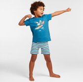 Woody pyjama jongens - meeuw - blauw - 211-1-PSS-S-871 - maat 176