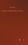 Ginseng and Other Medicinal Plants