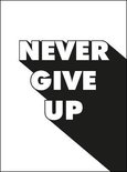 Never Give Up: Summersdale: 9781786859785: : Books