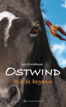 Die Ostwind-Reihe - Die Bücher und Hörbücher zur Filmreihe 7 - Ostwind - Wie es begann
