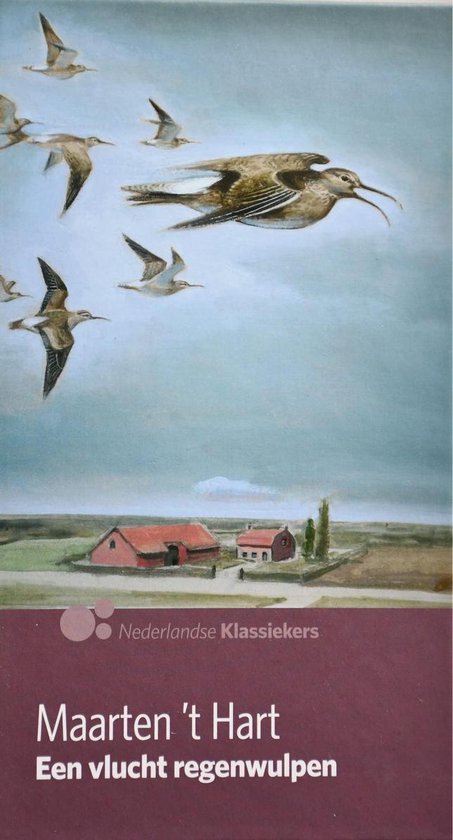 8710114001481 - Een vlucht regenwulpen - AD Nederlandse klassiekers