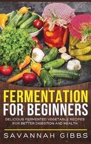 Fermentation for Beginners