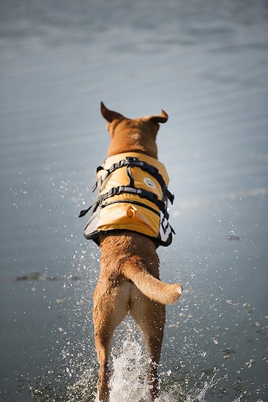 EzyDog DFD Zwemvest Hond - Reflecterend Reddingsvest - M - Geel