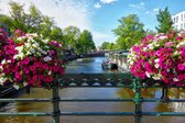 Peinture par numéro Adultes - Amsterdam - Fleurs - Pont - Nederland - 40x50 cm
