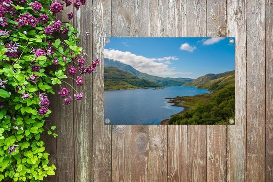 Paysage vallonné vert dans le parc national écossais Loch Lomond and the Trossachs Garden poster 60x40 cm - petit - Toile de jardin / Toile d'extérieur / Peintures pour l'extérieur (décoration de jardin)