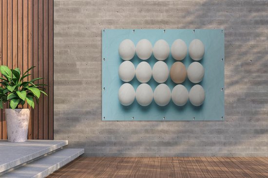 Affiche de jardin oeuf brun individuel entre oeufs blancs 160x120 cm - Toile de jardin / Toile d'extérieur / Peintures d'extérieur (décoration de jardin) XXL / Groot format!