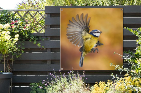 Affiche de jardin Mésange en volant 100x100 cm - Toile de jardin / Toile d'extérieur / Peintures d'extérieur (décoration de jardin)