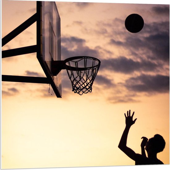 Forex - Vrienden aan het Basketballen - 80x80cm Foto op Forex