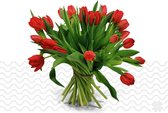 Verse bloemen boeket TULPEN (cadeau voor haar) - Rood - 10 per bos (brievenbusbloemen)