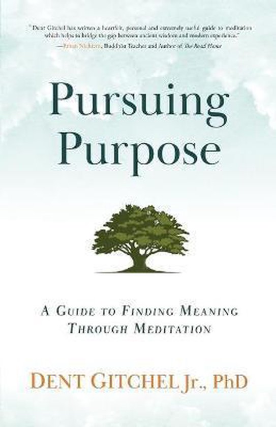 Pursuing Purpose - cover