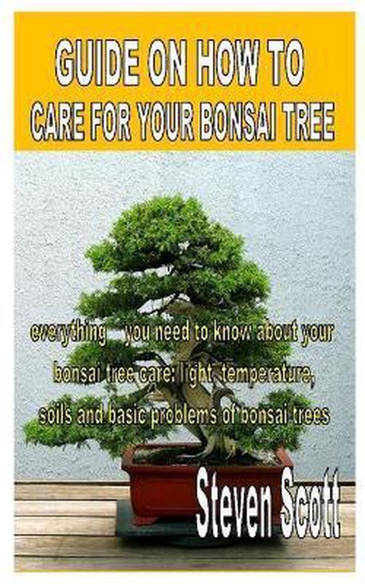 Guide on How to Care for Your Bonsai Tree Everything you need to know