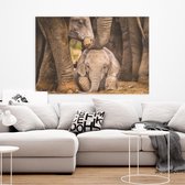 Canvas Schilderij - Baby Olifantje - 60 x 90 cm - PosterGuru.nl