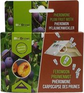 Biogroei Feromooncapsule Pruimenmot - Pruimenmot bestrijden - 100% biologisch - Makkelijk bruikbaar
