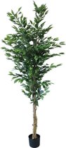 SENSE Kunstplant Ficus groen 180cm - Tropischeplant - Kantoor plant