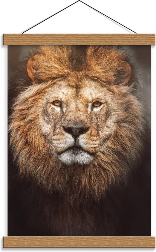 Schoolplaat – Mannetjes Leeuw met Prachtige Volle Manen - 30x40cm Foto op Textielposter (Wanddecoratie op Schoolplaat)