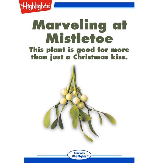 Marveling at Mistletoe - cover