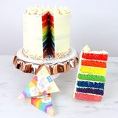 Kit Colorants alimentaires PME Rainbow Cake