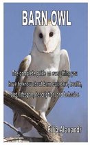 Barn Owl