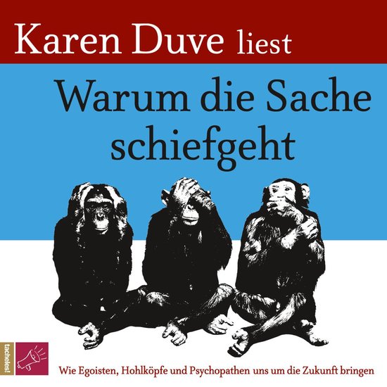 Warum die Sache schiefgeht - cover