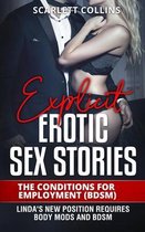 Explicit Erotic Sex Stories: The Conditions for Employment (BDSM)