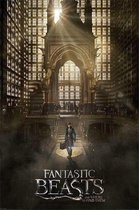 Fantastic Beasts Teaser Poster 61x91.5cm