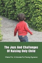 The Joys And Challenges Of Raising Only Child: Make For A Wonderful Family Dynamic