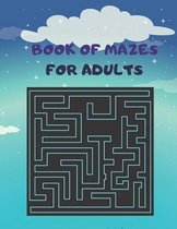 Book of Mazes for Adults