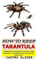 How to Keep Tarantula