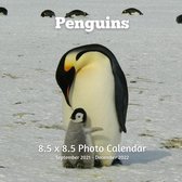 Penguins 8.5 X 8.5 Calendar September 2021 -December 2022