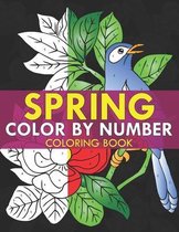 spring color by number coloring book